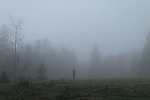 p1010920.jpg