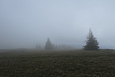 p1010923.jpg