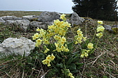 p1010925.jpg
