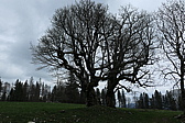 p1010948.jpg