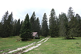 p1010950.jpg