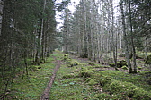 p1010952.jpg