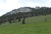 p1010953.jpg