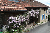 p1010956.jpg