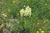 p1020145.jpg