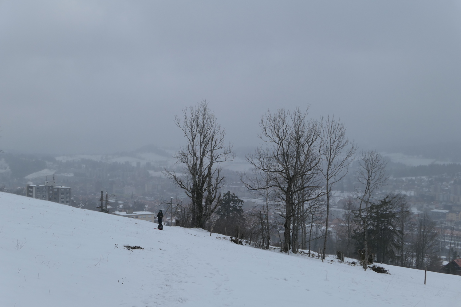 p1010490.jpg