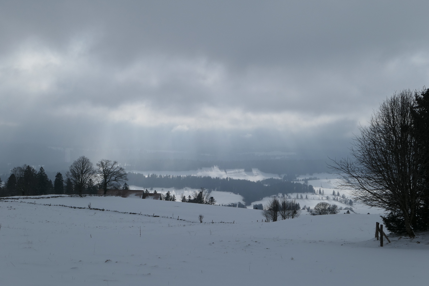 p1010492.jpg