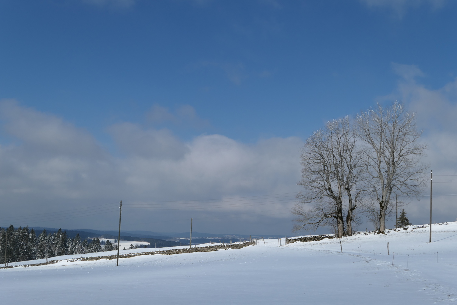 p1010496.jpg