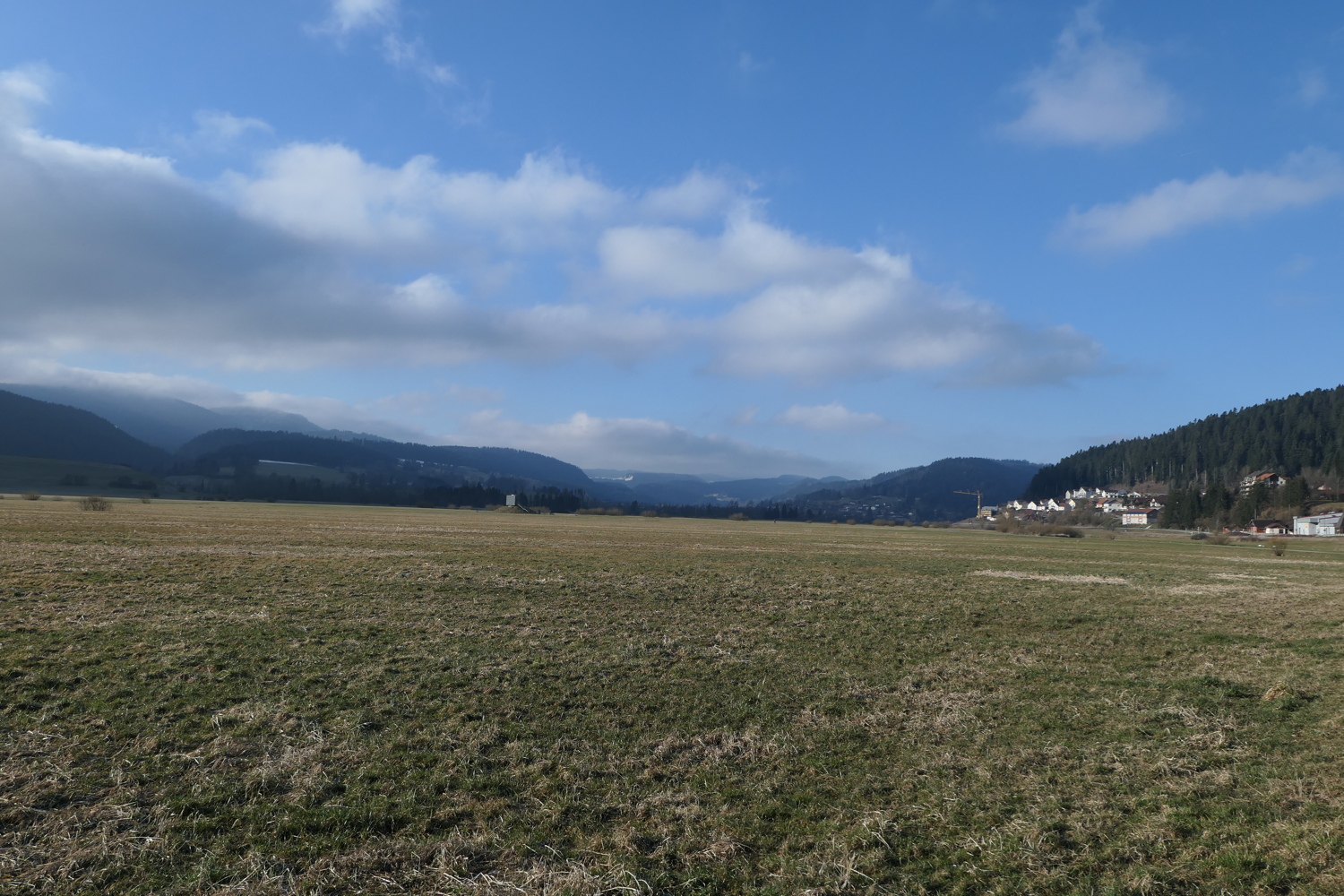p1010529.jpg