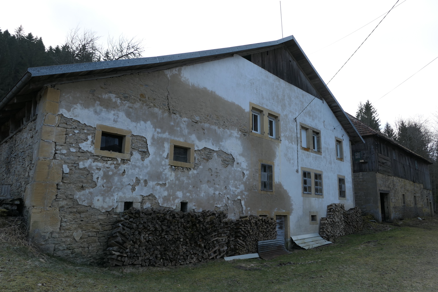 p1010532.jpg