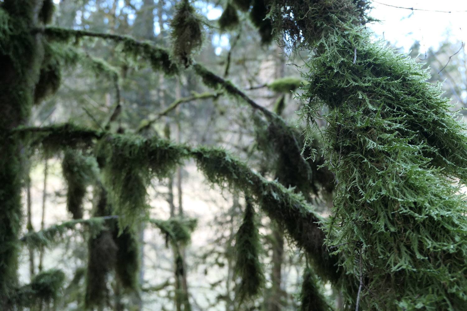p1010536.jpg
