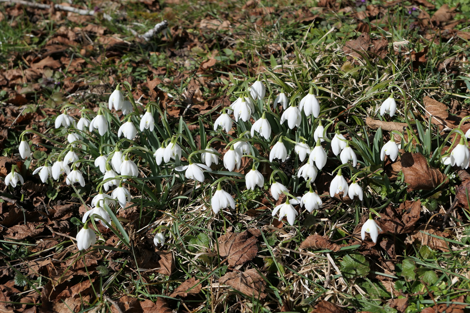 p1010546.jpg