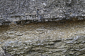 p1010517.jpg