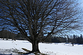 p1010545.jpg