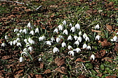 p1010546.jpg