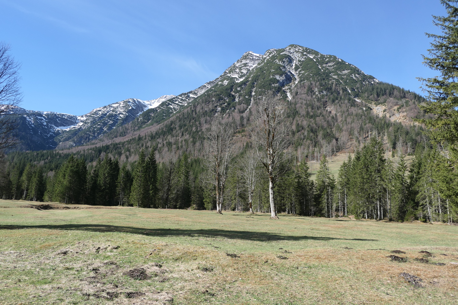 p1010849.jpg