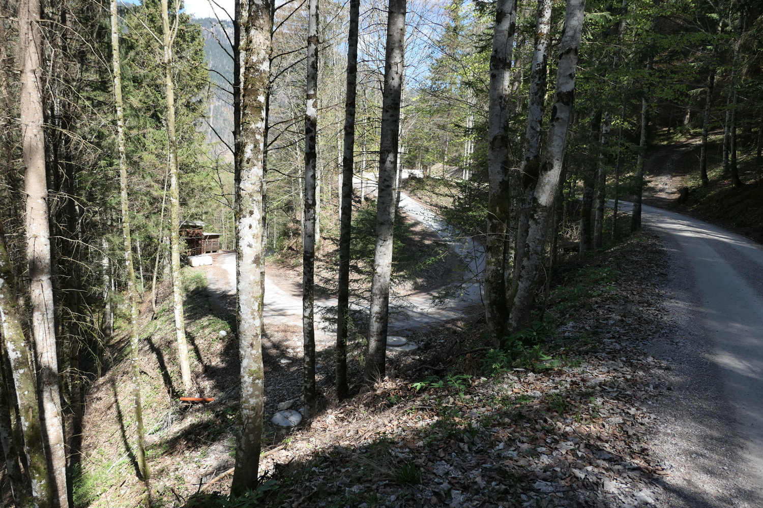 p1010862.jpg
