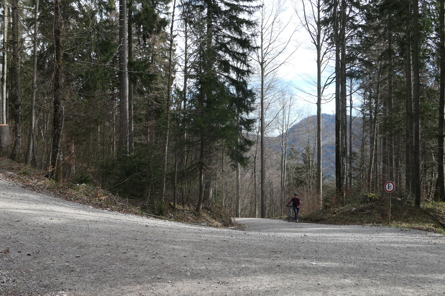 p1010874.jpg