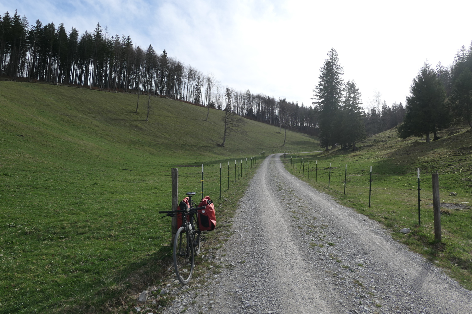 p1010876.jpg