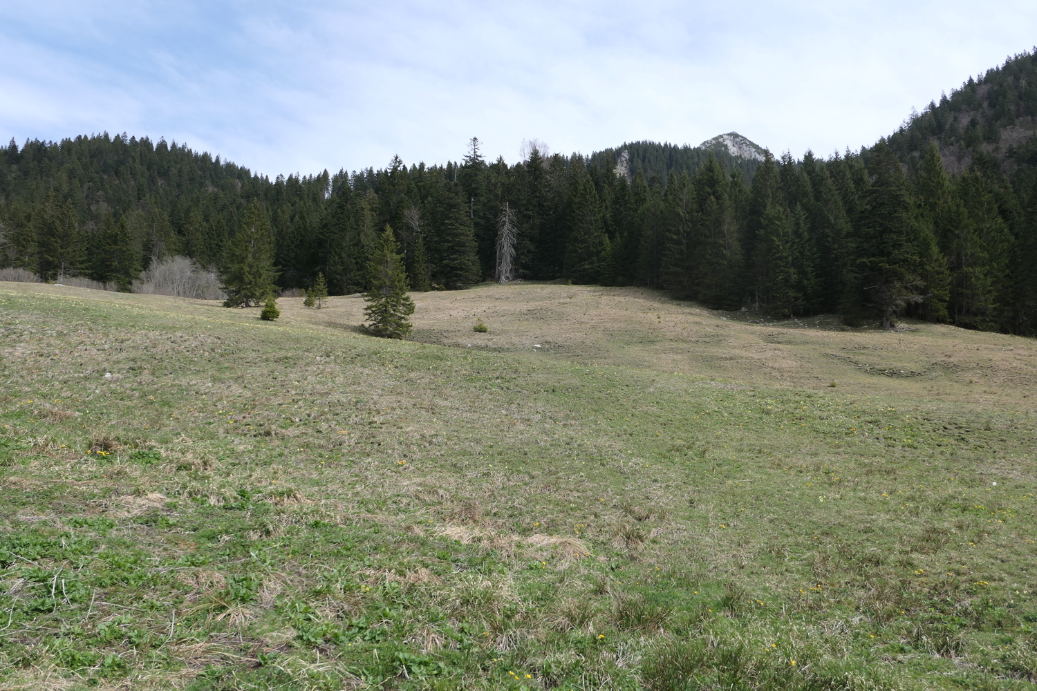 p1010884.jpg