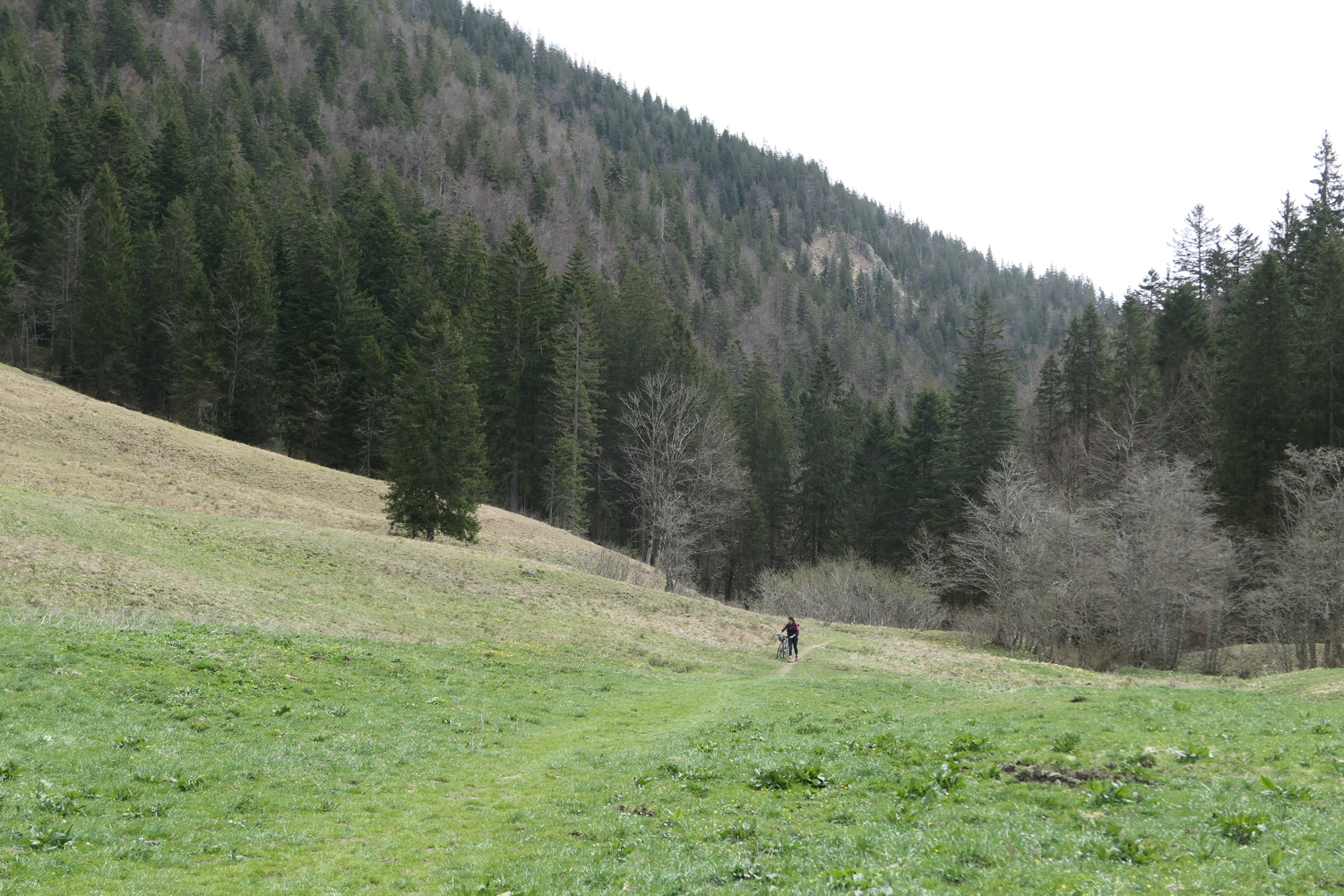 p1010887.jpg