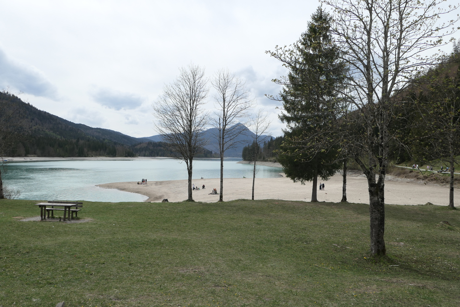 p1010890.jpg