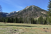 p1010849.jpg