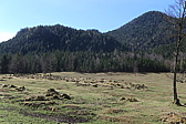 p1010852.jpg