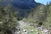 p1010858.jpg