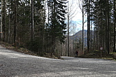 p1010874.jpg