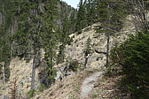 p1010883.jpg