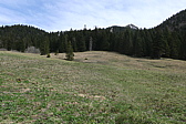 p1010884.jpg