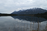 p1010904.jpg