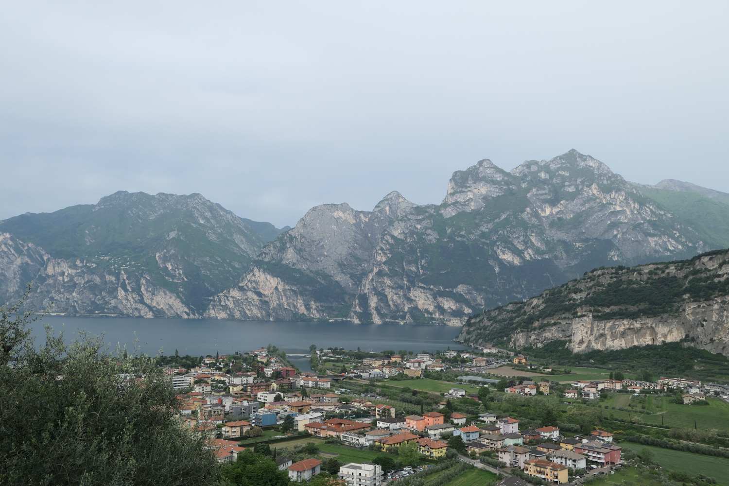 p1020036.jpg