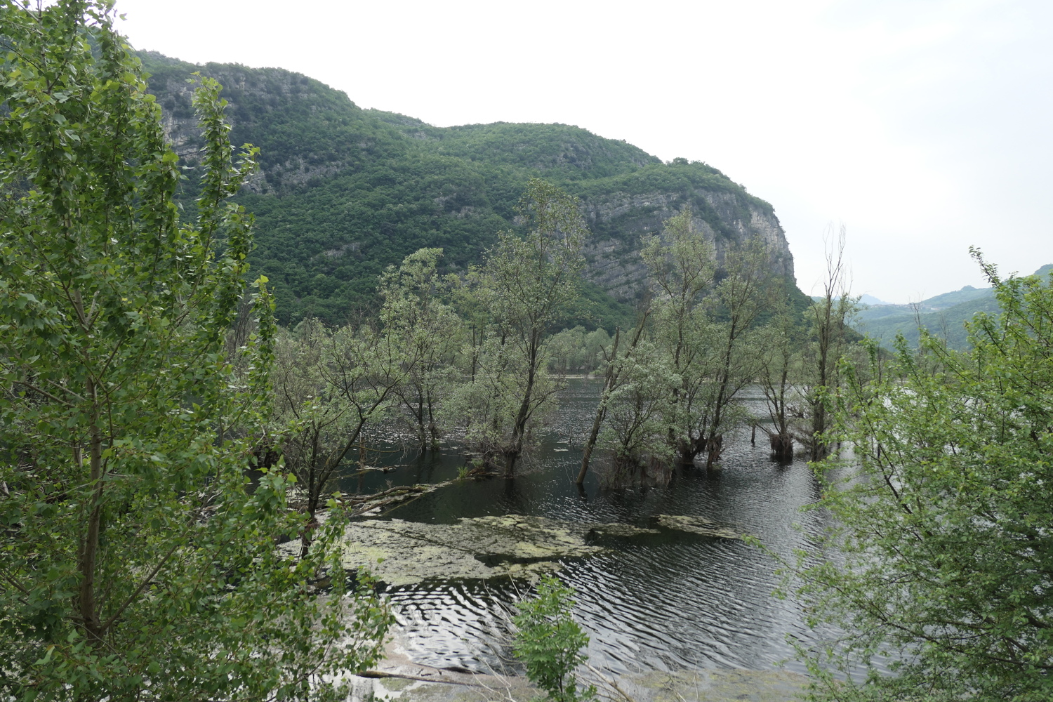 p1020037.jpg