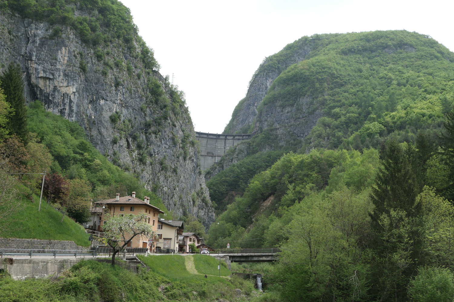 p1020043.jpg