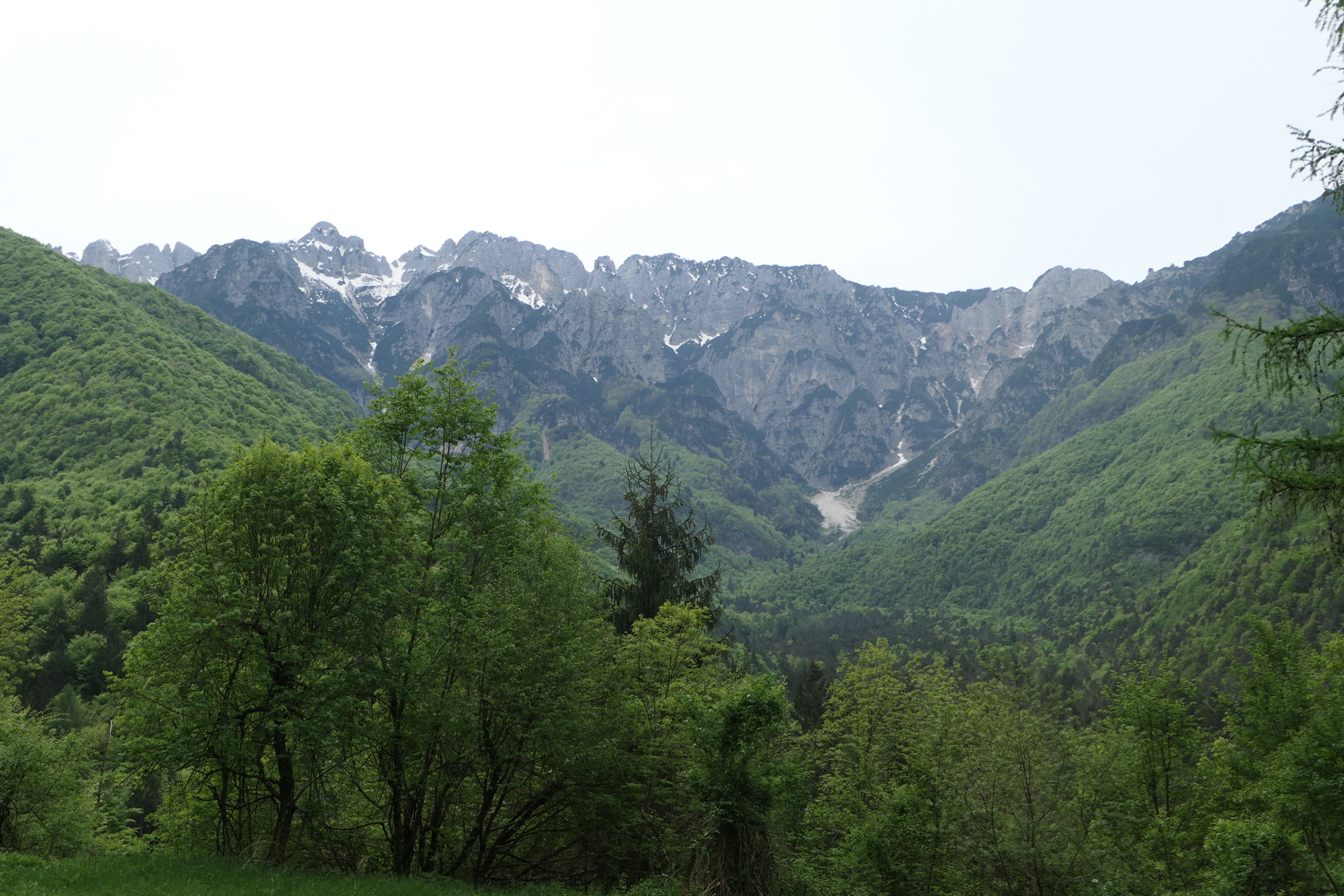 p1020044.jpg