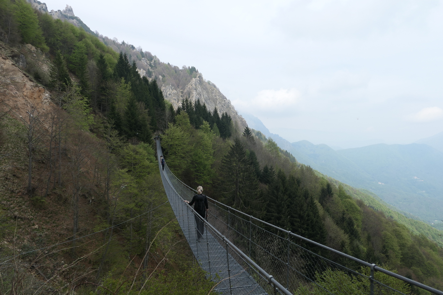 p1020054.jpg