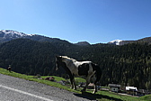 p1010983.jpg