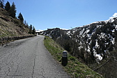 p1010990.jpg