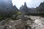 p1020057.jpg