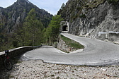 p1020061.jpg