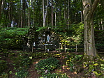 img_4233.jpeg