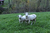 p1050302.jpg