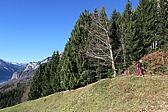 p1050309.jpg