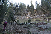 p1050315.jpg