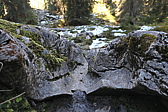 p1050317.jpg