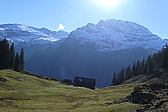 p1050334.jpg