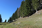 p1050335.jpg