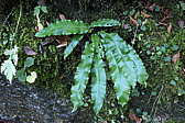 p1050342.jpg
